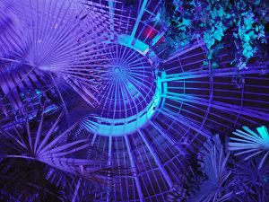 Conservatory Dome, by Lotto Productions