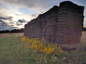 Hay StacksGriffis Park Sculpture, by Lotto Productions